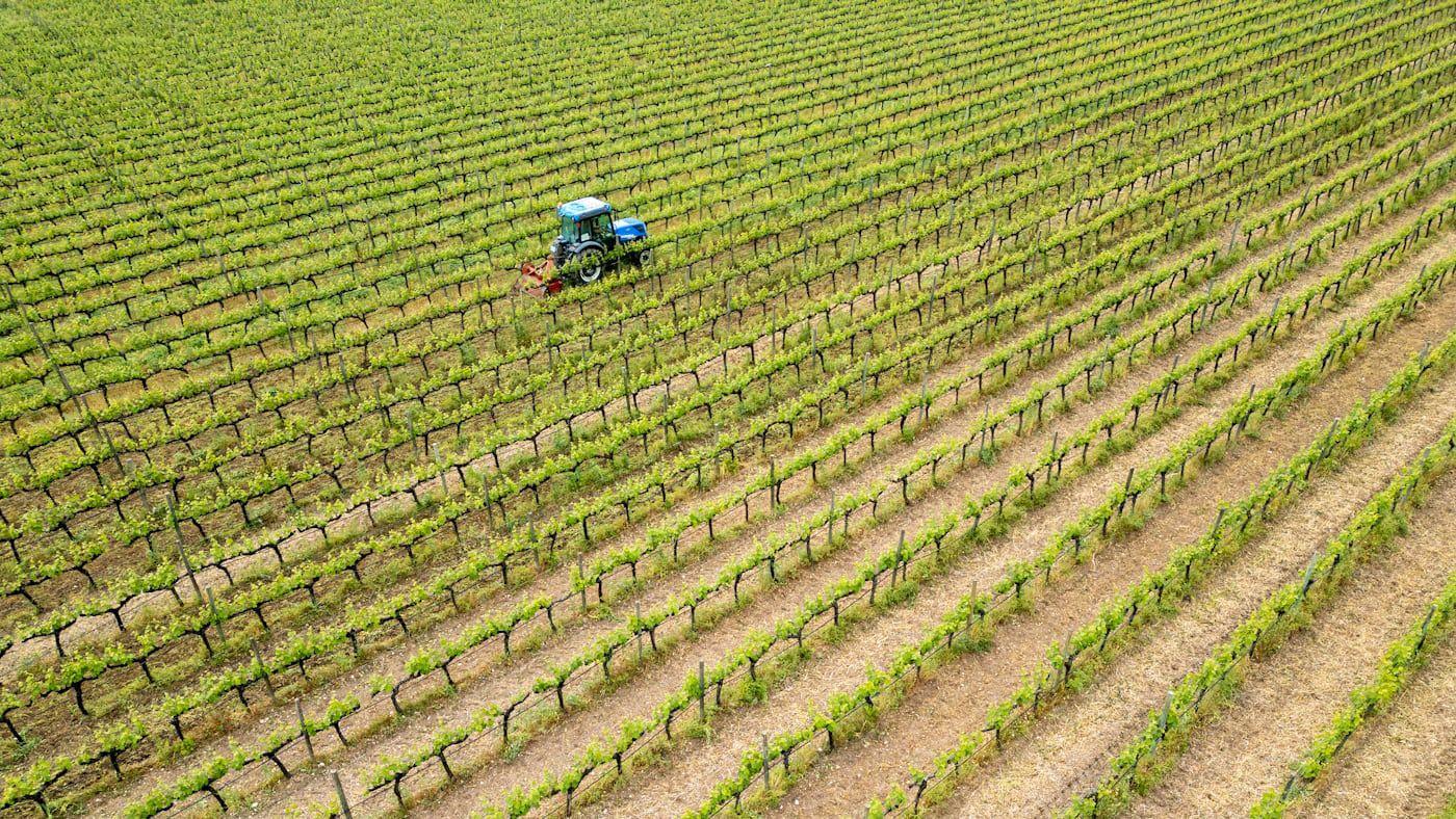 Sandrine BLANC - Succès aujourd'hui